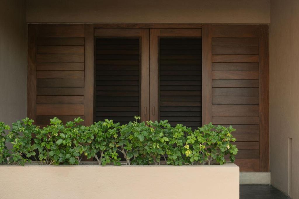 Lo Sereno Casa De Playa Troncones Exterior foto